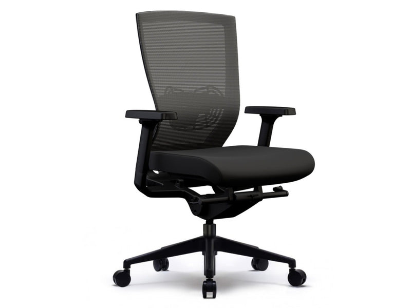Lucca Mesh Office Chair with Arms